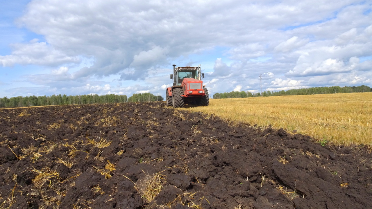 Фото: Андрей Киприн АНО "ИИЦ "Сельская новь"