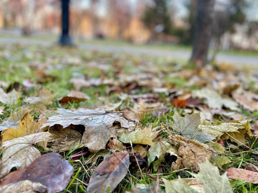 Фото: ИА "Тюменская линия"