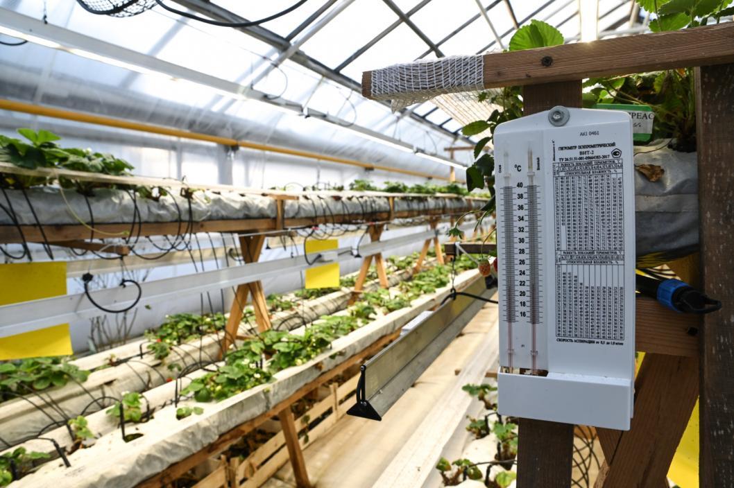 Фото: Сергей Елесин, ИА "Тюменская линия"