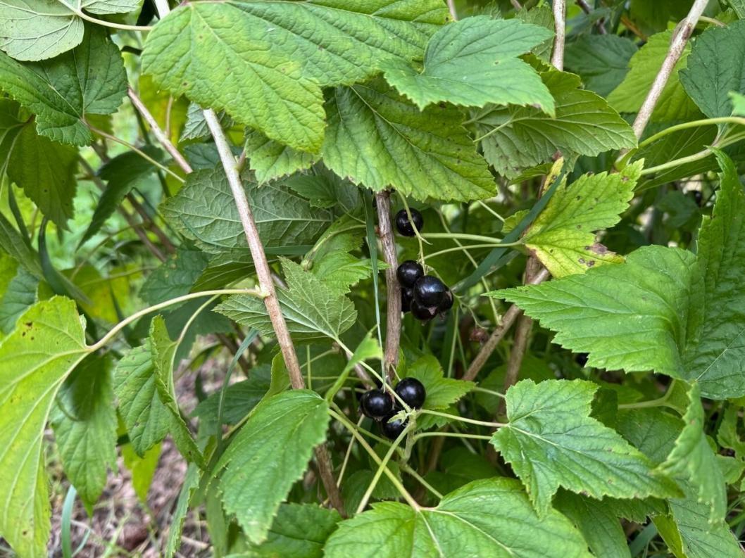 Фото: администрации Уватского района