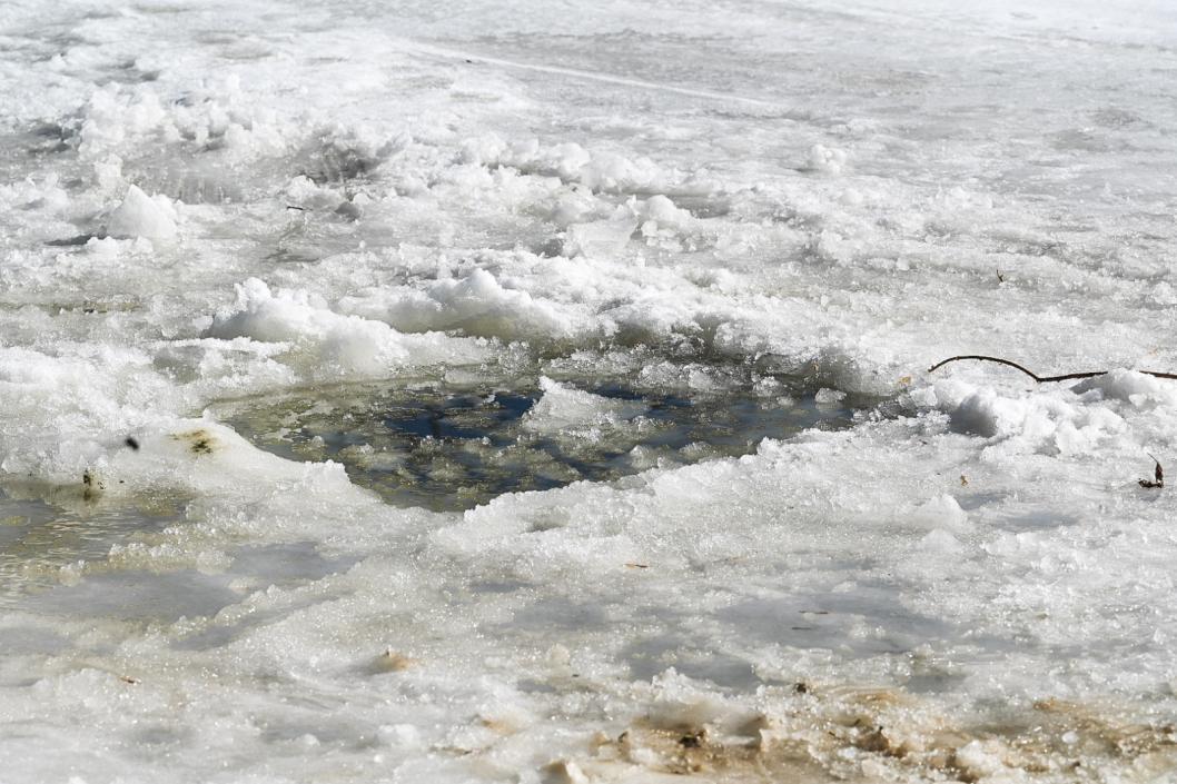 Фото: Сергей Елесин, ИА "Тюменская линия"