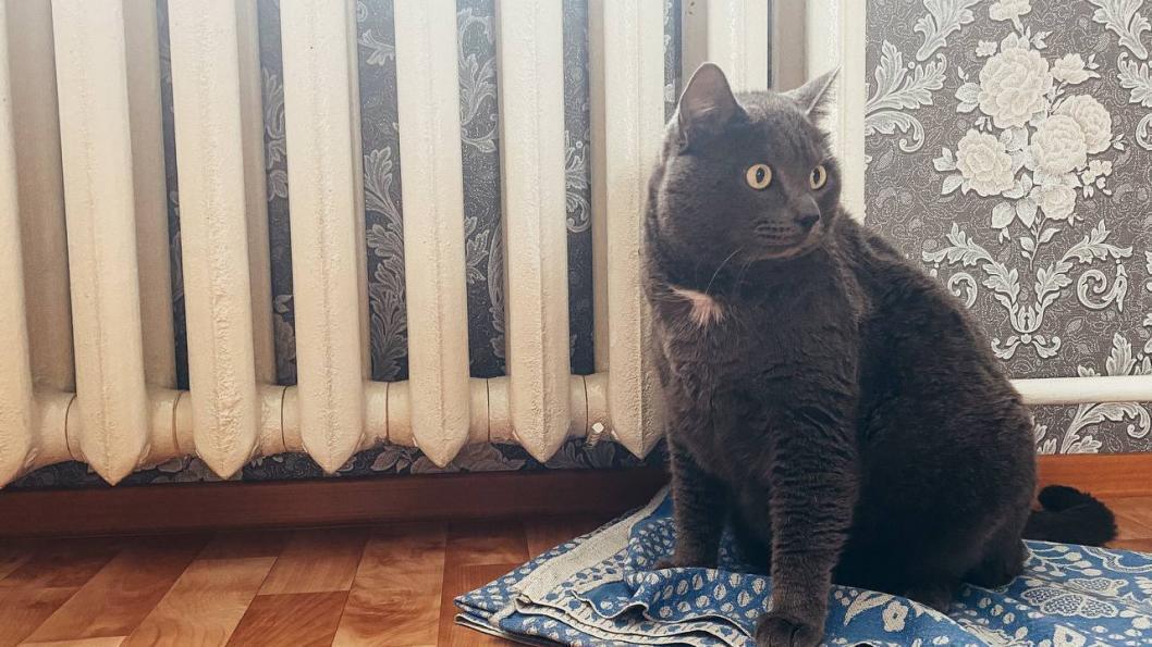 Фото: ИА "Тюменская линия"