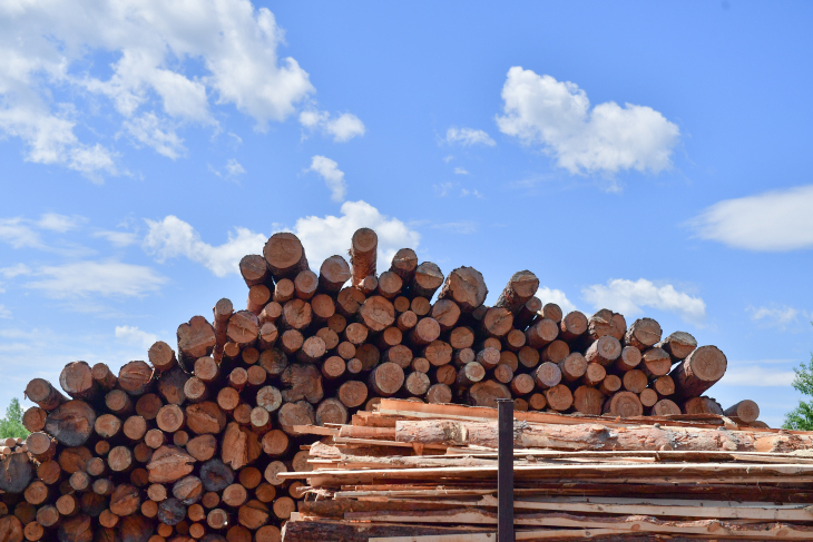 Фото: Сергей Елесин, ИА "Тюменская линия"