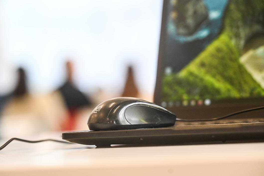 Фото: Сергей Елесин, ИА "Тюменская линия"