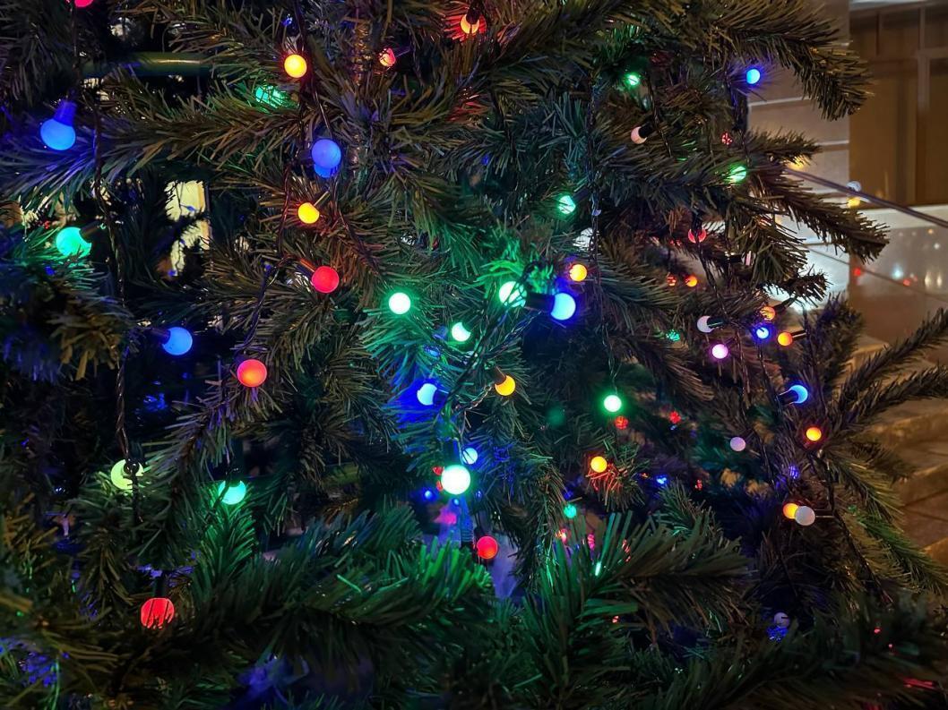 Фото: ИА "Тюменская линия"