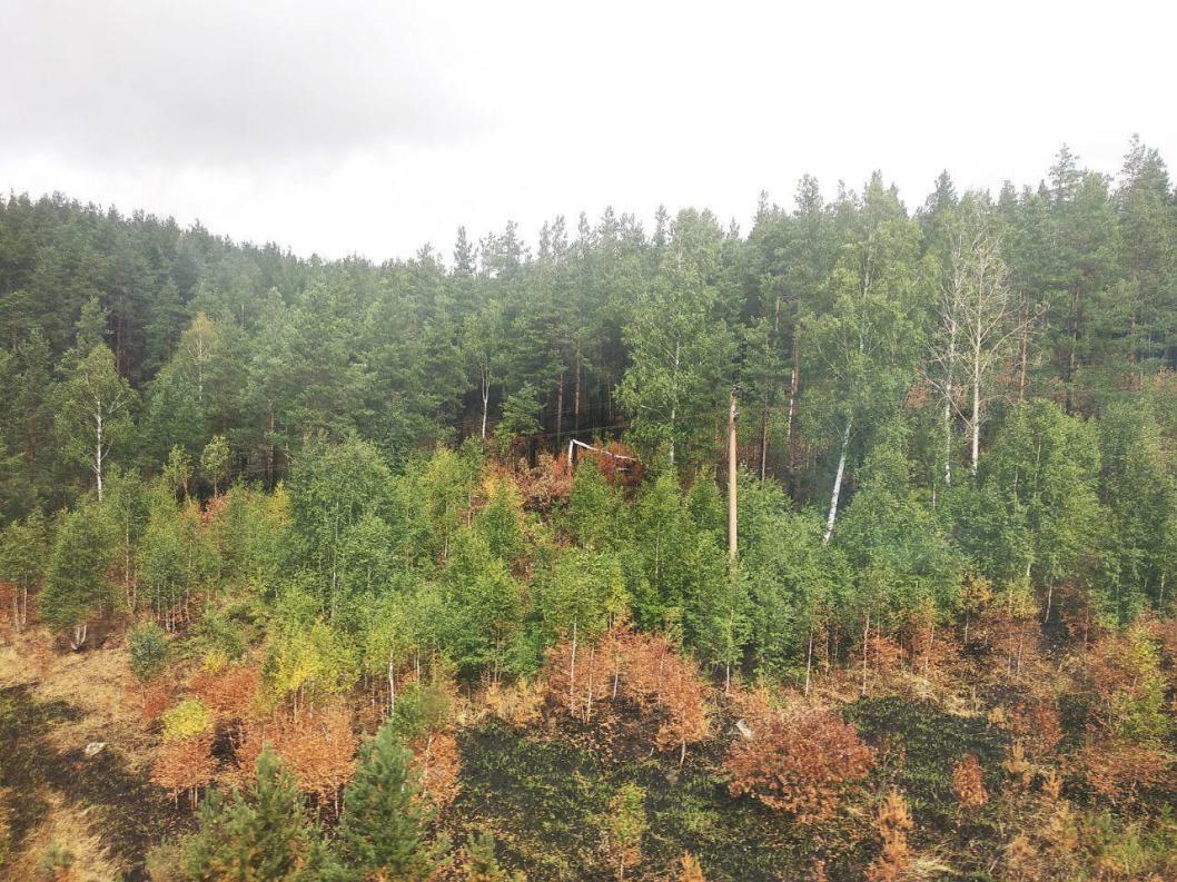 Фото: ИА "Тюменская линия"