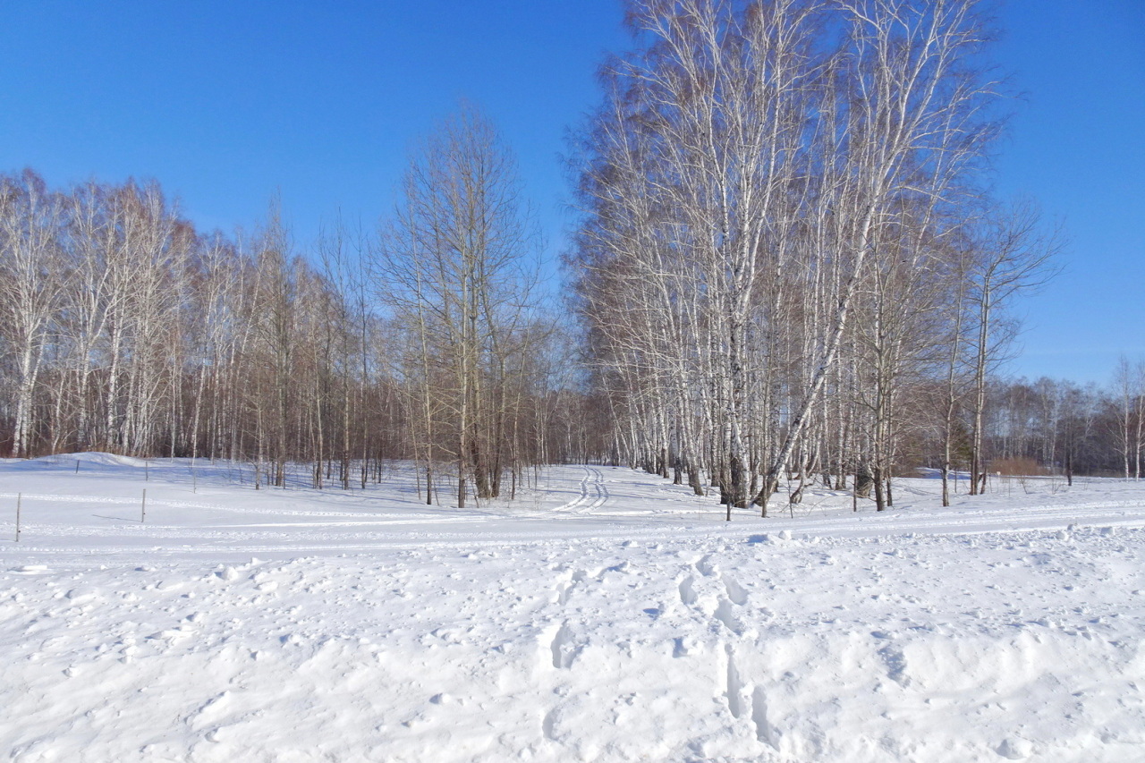 Фото: Андрей Киприн АНО "ИИЦ "Сельская новь"