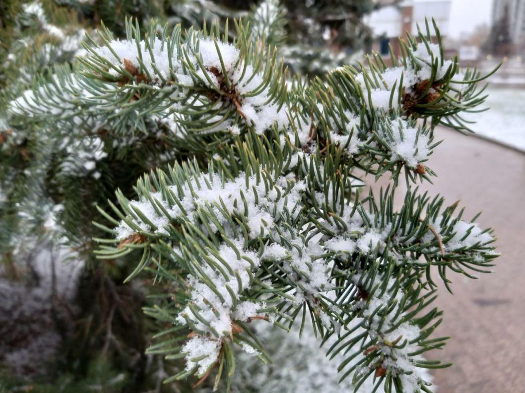 Фото: Михаил Болбель, ИА "Тюменская линия"