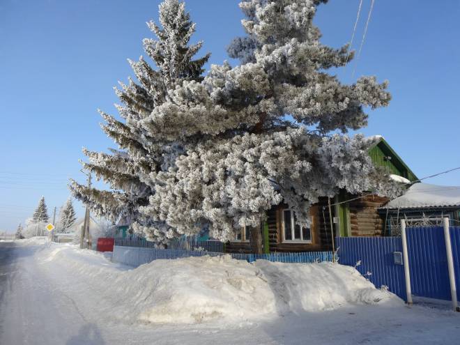 погода в ленинке абатского